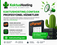 kaktushostingreklam.png